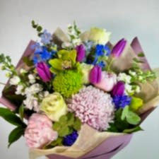 Kış Mevsim Çiçekleri