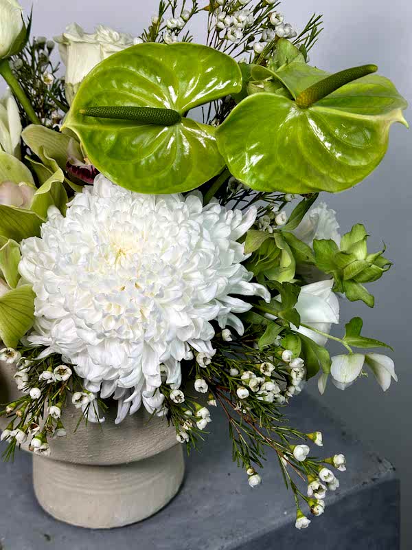 Midori Beyaz Aranjman