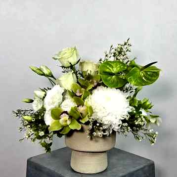 Midori Beyaz Aranjman