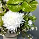 Midori Beyaz Aranjman