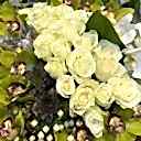 Bleu Blanc Vazoda Deluxe Aranjman