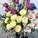 Elena Deluxe Mor Lale Beyaz Cymbidium