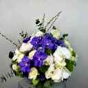 Gold Vazoda Mor Beyaz Orkide Deluxe