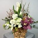 Hera Sepette Beyaz Pembe Mini