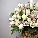 Hera Deluxe Sepette Beyaz Aranjman