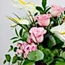 Soufnes Pembe Gül Aranjman