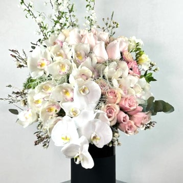 Poudre Deluxe Aranjman