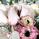 Poudre Deluxe Aranjman