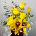 Siyah Kutuda Cymbidium Sarı Güller