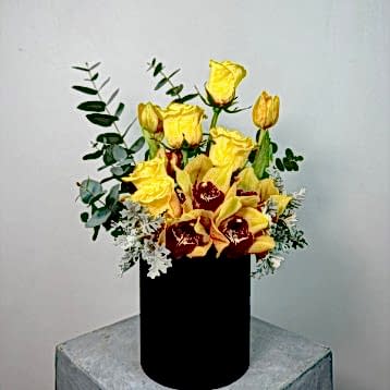 Siyah Kutuda Cymbidium Sarı Güller