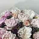 Pluffy Şakayık Kutu Aranjman