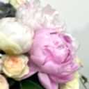 Pluffy Şakayık Kutu Aranjman