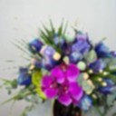 Gold Vazoda Kozmik Lale Fuşya Phalaenopsis