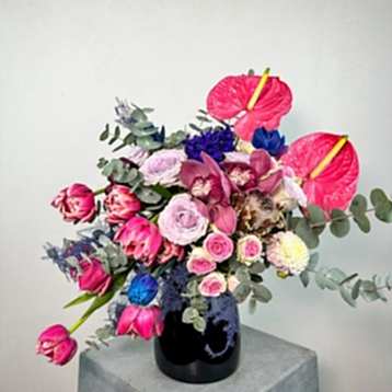 Vita Renkli Aranjman