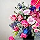 Vita Renkli Aranjman