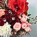 Velvety Deluxe Aranjman