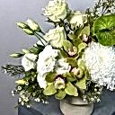 Midori Beyaz Aranjman