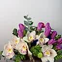 Sepia Kahve Vazoda Mor Laleler ve Simbidyum