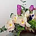 Sepia Kahve Vazoda Mor Laleler ve Simbidyum