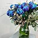 Cam Vazoda Kozmik Laleler