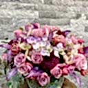 Taş Vazoda Lila Pembe Deluxe Aranjman