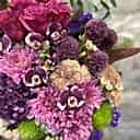 Clara Seramik Vazoda Pembe Aranjman