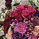 Clara Seramik Vazoda Pembe Aranjman