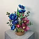 Nami Rose Vazoda Kozmik Laleler