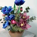 Nami Rose Vazoda Kozmik Laleler