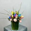 Cam Vazoda Rainbow Lale Mini