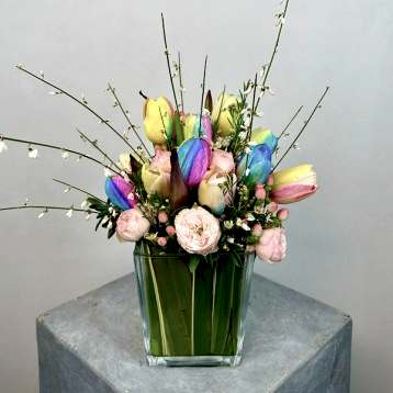 Cam Vazoda Rainbow Lale Mini