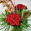 Red Roe Kırmızı Güller ve Cymbidium