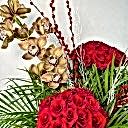 Red Roe Kırmızı Güller ve Cymbidium