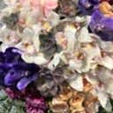 Cappucino Deluxe Gül Orkide Aranjman