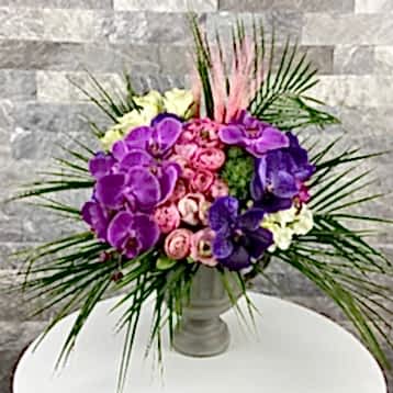 Taş Vazoda Pembe Orkide Aranjman