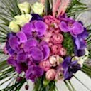 Taş Vazoda Pembe Orkide Aranjman