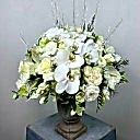 Albus Taş Vazoda Beyaz Gül Orkide Aranjmanı