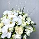 Albus Taş Vazoda Beyaz Gül Orkide Aranjmanı