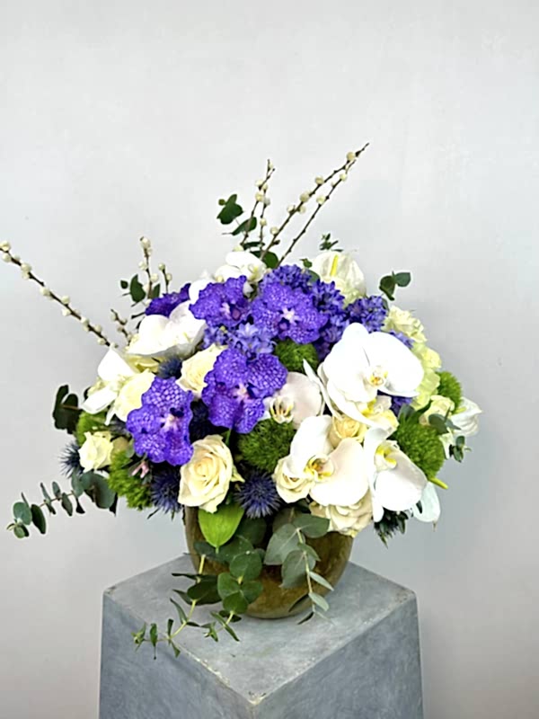 Gold Vazoda Mor Beyaz Orkide Deluxe