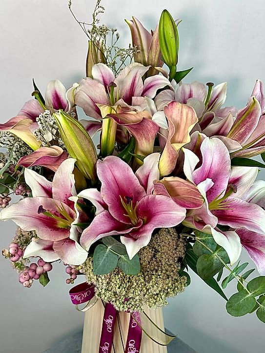 Taffy Lilyum Aranjman