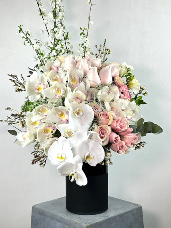 Poudre Deluxe Aranjman