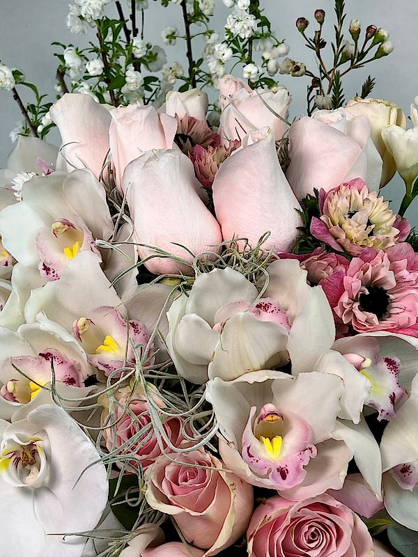 Poudre Deluxe Aranjman