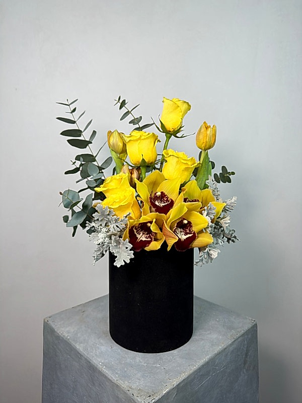 Siyah Kutuda Cymbidium Sarı Güller