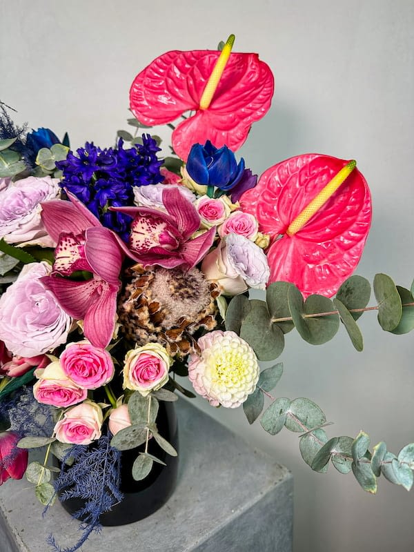 Vita Renkli Aranjman