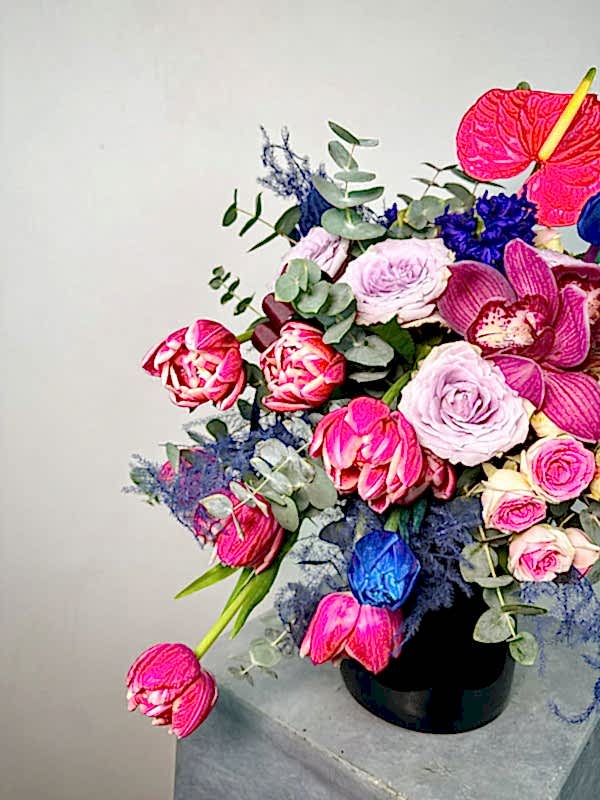 Vita Renkli Aranjman