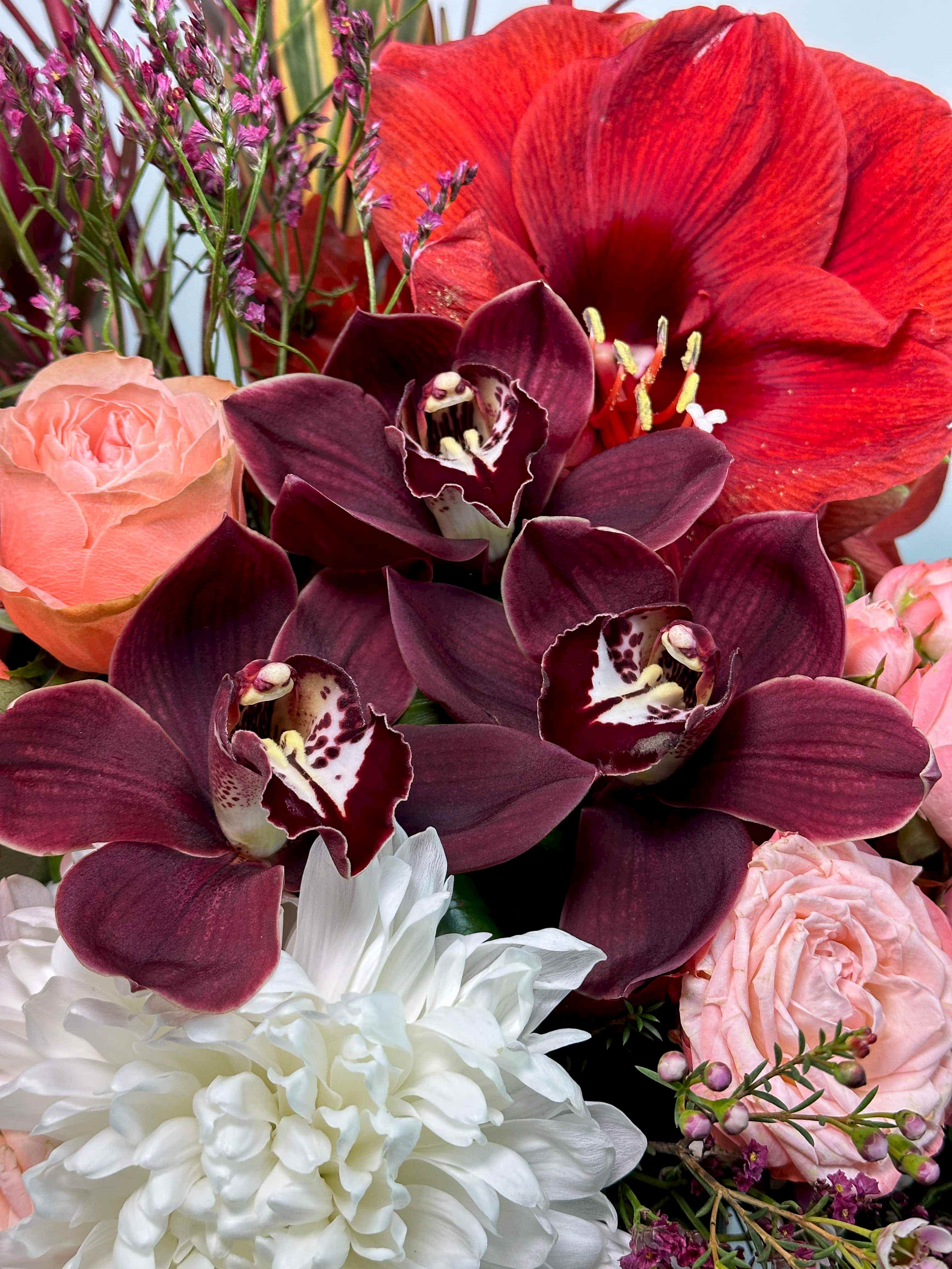 Velvety Deluxe Aranjman