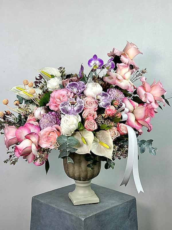 Mignon Deluxe Aranjman