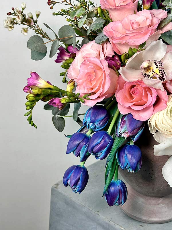 Voar Deluxe Aranjman