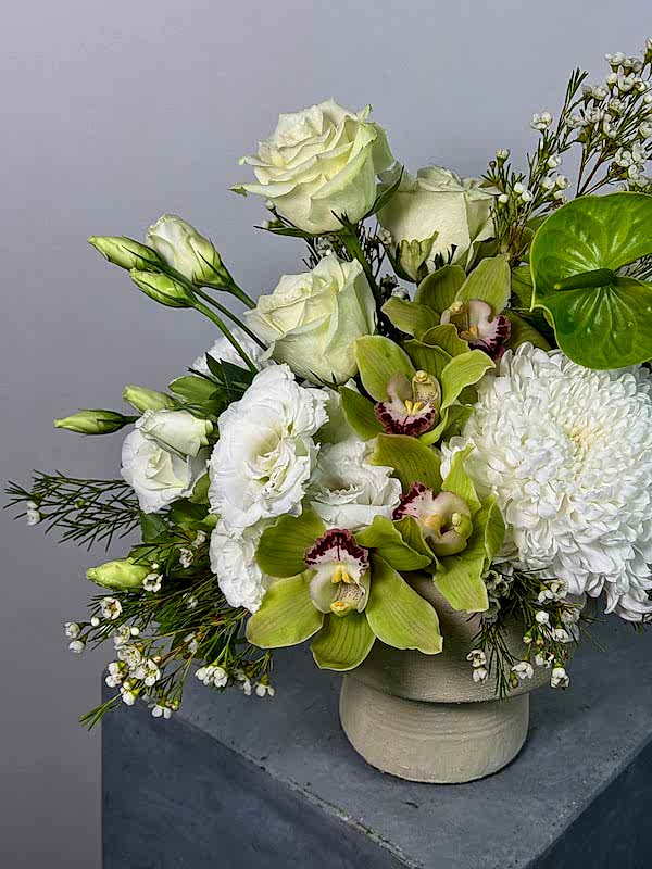 Midori Beyaz Aranjman