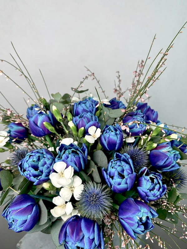 Cam Vazoda Kozmik Laleler